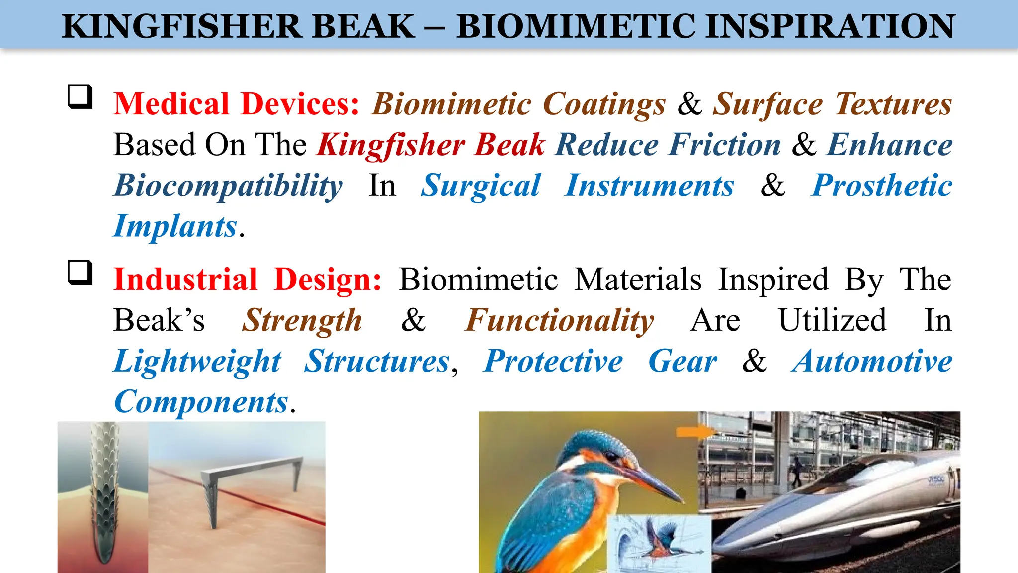 KINGFISHER BEAK – BIOMIMETIC INSPIRATION
 Medical Devices: Biomimetic Coatings & Surface Textures
Based On The Kingfisher Beak Reduce Friction & Enhance
Biocompatibility In Surgical Instruments & Prosthetic
Implants.
 Industrial Design: Biomimetic Materials Inspired By The
Beak’s Strength & Functionality Are Utilized In
Lightweight Structures, Protective Gear & Automotive
Components.
 