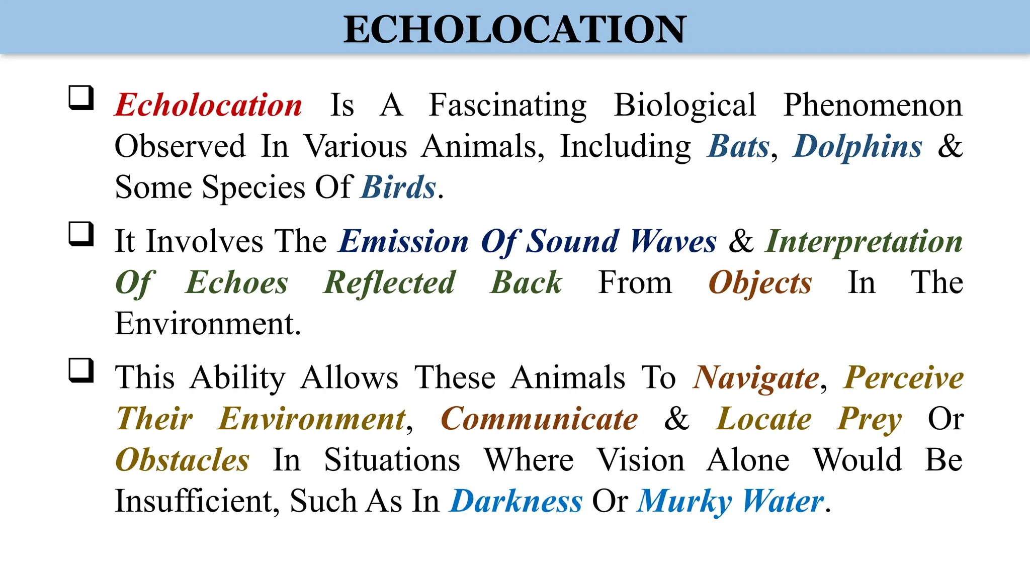 ECHOLOCATION
 Echolocation Is A Fascinating Biological Phenomenon
Observed In Various Animals, Including Bats, Dolphins &
Some Species Of Birds.
 It Involves The Emission Of Sound Waves & Interpretation
Of Echoes Reflected Back From Objects In The
Environment.
 This Ability Allows These Animals To Navigate, Perceive
Their Environment, Communicate & Locate Prey Or
Obstacles In Situations Where Vision Alone Would Be
Insufficient, Such As In Darkness Or Murky Water.
 