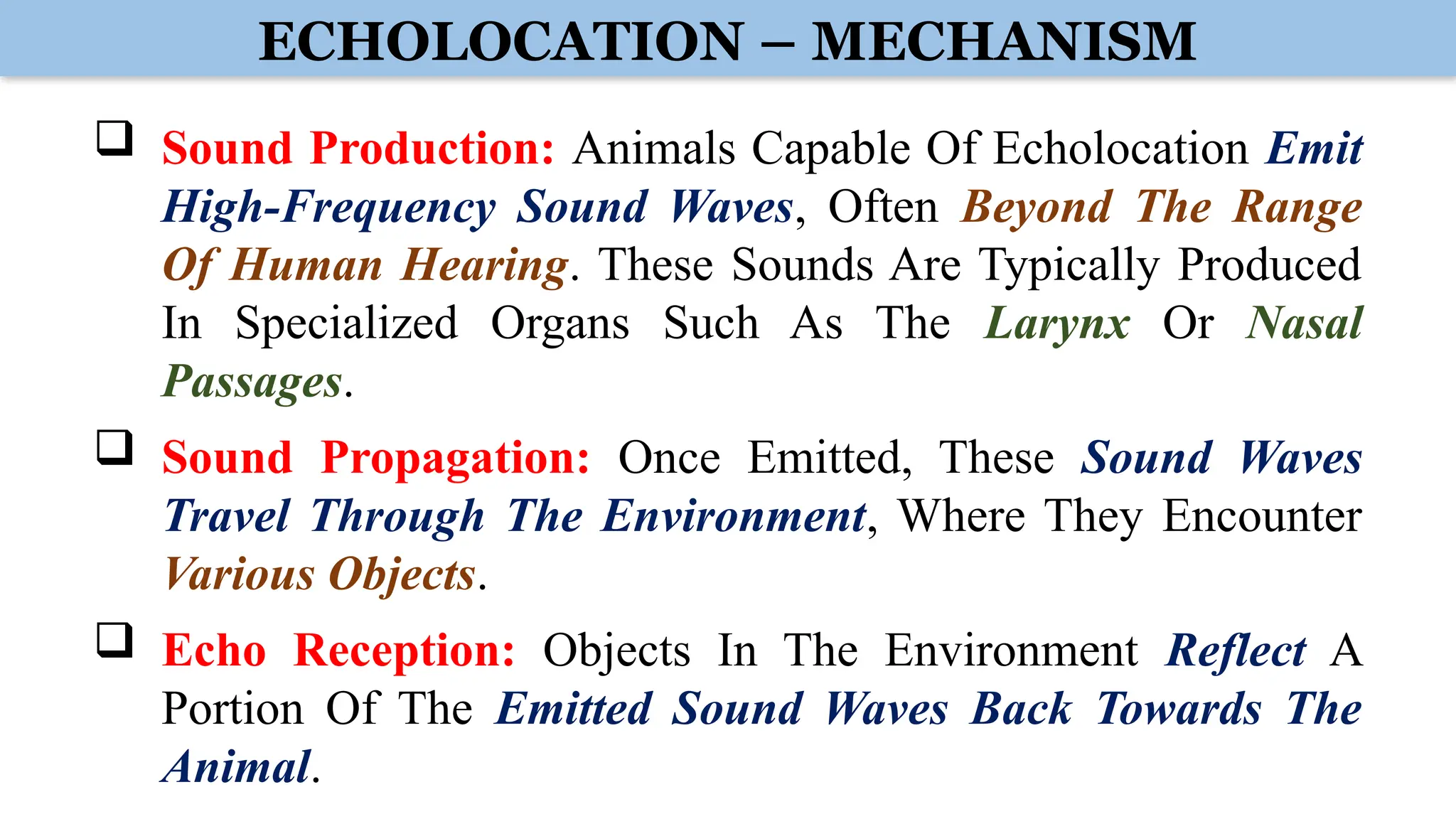 ECHOLOCATION – MECHANISM
 Sound Production: Animals Capable Of Echolocation Emit
High-Frequency Sound Waves, Often Beyond The Range
Of Human Hearing. These Sounds Are Typically Produced
In Specialized Organs Such As The Larynx Or Nasal
Passages.
 Sound Propagation: Once Emitted, These Sound Waves
Travel Through The Environment, Where They Encounter
Various Objects.
 Echo Reception: Objects In The Environment Reflect A
Portion Of The Emitted Sound Waves Back Towards The
Animal.
 