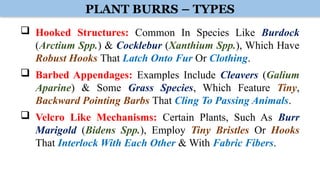 Oarbed Examples BBOC407 BIOLOGY FOR ENGINEERS (CS) - MODULE 4.pptx