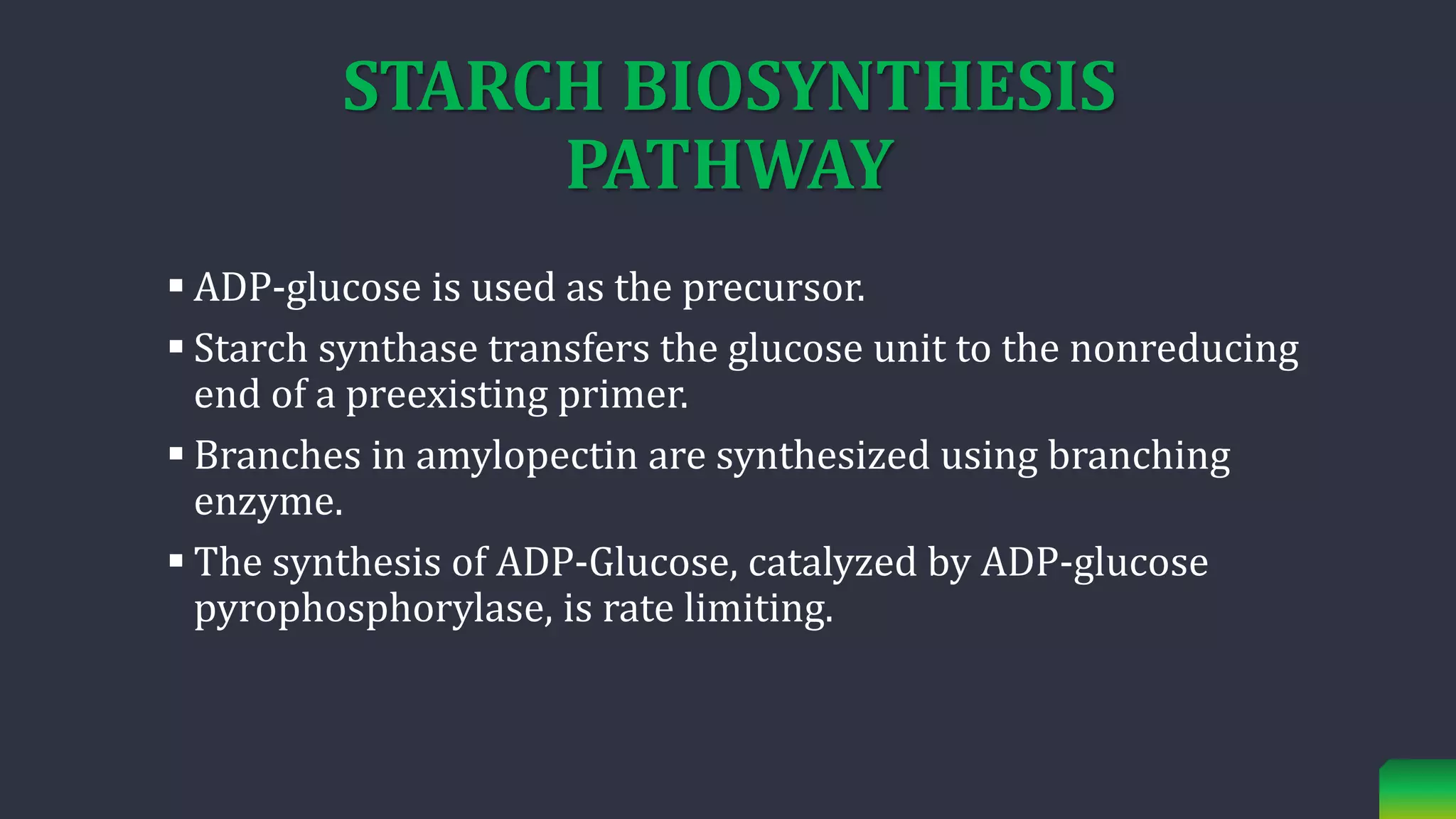 STARCH BIOSYNTHESIS
PATHWAY
 ADP-glucose is used as the precursor.
 Starch synthase transfers the glucose unit to the nonreducing
end of a preexisting primer.
 Branches in amylopectin are synthesized using branching
enzyme.
 The synthesis of ADP-Glucose, catalyzed by ADP-glucose
pyrophosphorylase, is rate limiting.
 
