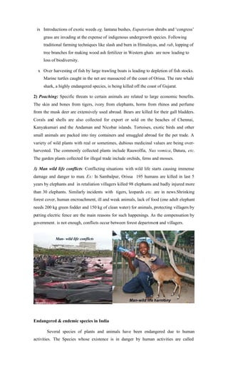 ix Introductions of exotic weeds eg. lantana bushes, Eupatorium shrubs and ‘congress’
grass are invading at the expense of indigenous undergrowth species. Following
traditional farming techniques like slash and burn in Himalayas, and rab, lopping of
tree branches for making wood ash fertilizer in Western ghats are now leading to
loss of biodiversity.
x Over harvesting of fish by large trawling boats is leading to depletion of fish stocks.
Marine turtles caught in the net are massacred of the coast of Orissa. The rare whale
shark, a highly endangered species, is being killed off the coast of Gujarat.
2) Poaching: Specific threats to certain animals are related to large economic benefits.
The skin and bones from tigers, ivory from elephants, horns from rhinos and perfume
from the musk deer are extensively used abroad. Bears are killed for their gall bladders.
Corals and shells are also collected for export or sold on the beaches of Chennai,
Kanyakumari and the Andaman and Nicobar islands. Tortoises, exotic birds and other
small animals are packed into tiny containers and smuggled abroad for the pet trade. A
variety of wild plants with real or sometimes, dubious medicinal values are being over-
harvested. The commonly collected plants include Rauwolfia, Nux vomica, Datura, etc.
The garden plants collected for illegal trade include orchids, ferns and mosses.
3) Man wild life conflicts: Conflicting situations with wild life starts causing immense
damage and danger to man. Ex: In Sambalpur, Orissa 195 humans are killed in last 5
years by elephants and in retaliation villagers killed 98 elephants and badly injured more
than 30 elephants. Similarly incidents with tigers, leopards etc. are in news.Shrinking
forest cover, human encroachment, ill and weak animals, lack of food (one adult elephant
needs 200 kg green fodder and 150 kg of clean water) for animals, protecting villagers by
putting electric fence are the main reasons for such happenings. As the compensation by
government. is not enough, conflicts occur between forest department and villagers.
Endangered & endemic species in India
Several species of plants and animals have been endangered due to human
activities. The Species whose existence is in danger by human activities are called
Man-wild life harmony
Man- wild life conflicts
 