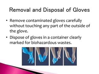 Removal and Disposal of Gloves
• Remove contaminated gloves carefully
without touching any part of the outside of
the glove.
• Dispose of gloves in a container clearly
marked for biohazardous wastes.
 