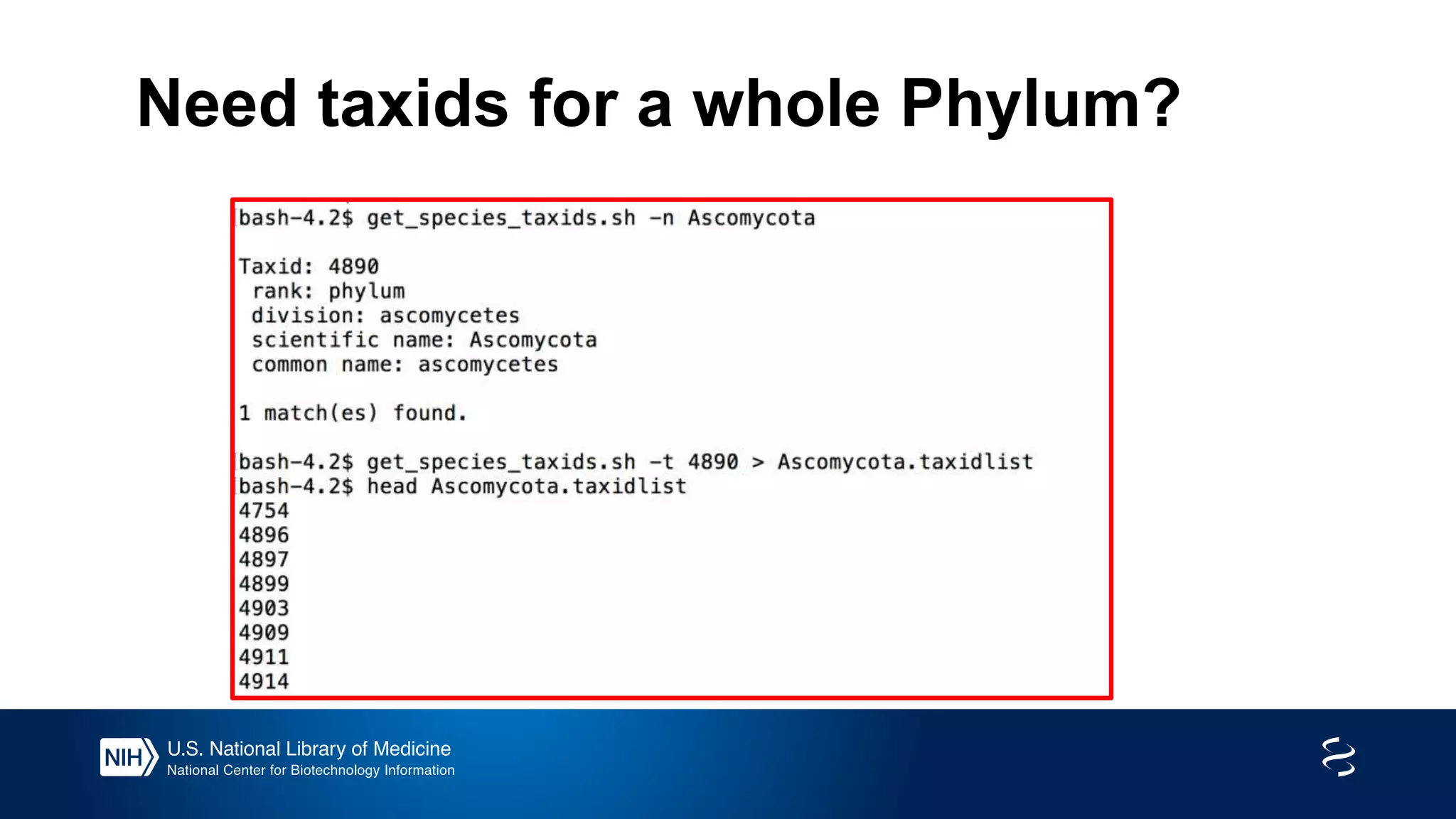 Need taxids for a whole Phylum?
 