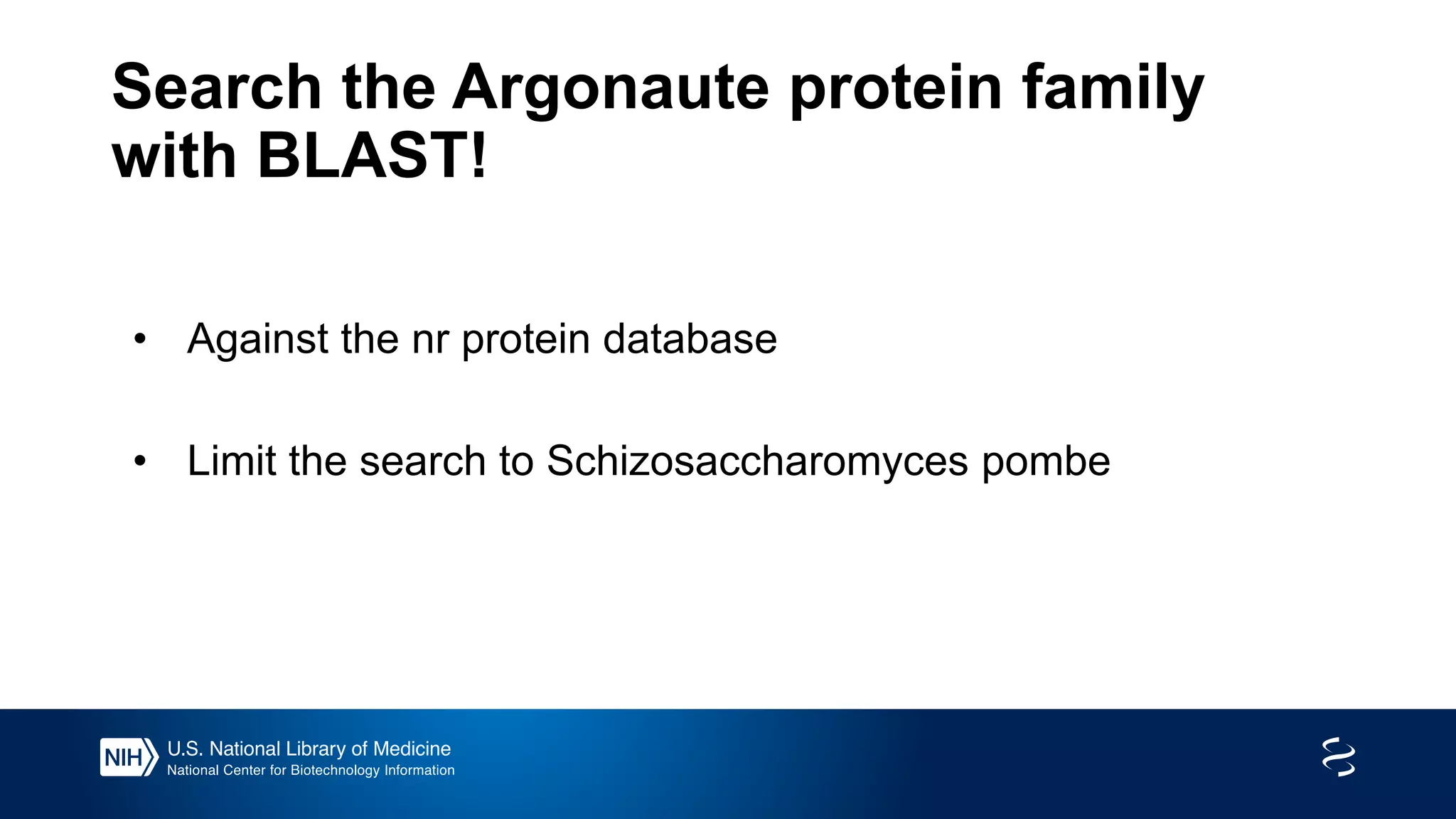 Search the Argonaute protein family
with BLAST!
• Against the nr protein database
• Limit the search to Schizosaccharomyces pombe
 