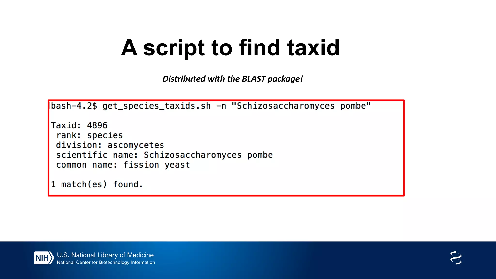A script to find taxid
Distributed with the BLAST package!
 