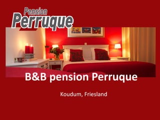 B&B pension Perruque
      Koudum, Friesland
 