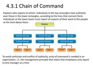 4.3.1 Chain of Command 
Explains who reports to whom. Individuals in the top rectangles have authority 
over those in the lower rectangles, according to the lines that connect them. 
Individuals at the lower levels must report all aspects of their work to the people 
at the level above them. 
To avoid confusion and conflict of authority, unity of command is needed in an 
organisation, i.e. the management principle that states that employees only report 
to one manager at a time 
 