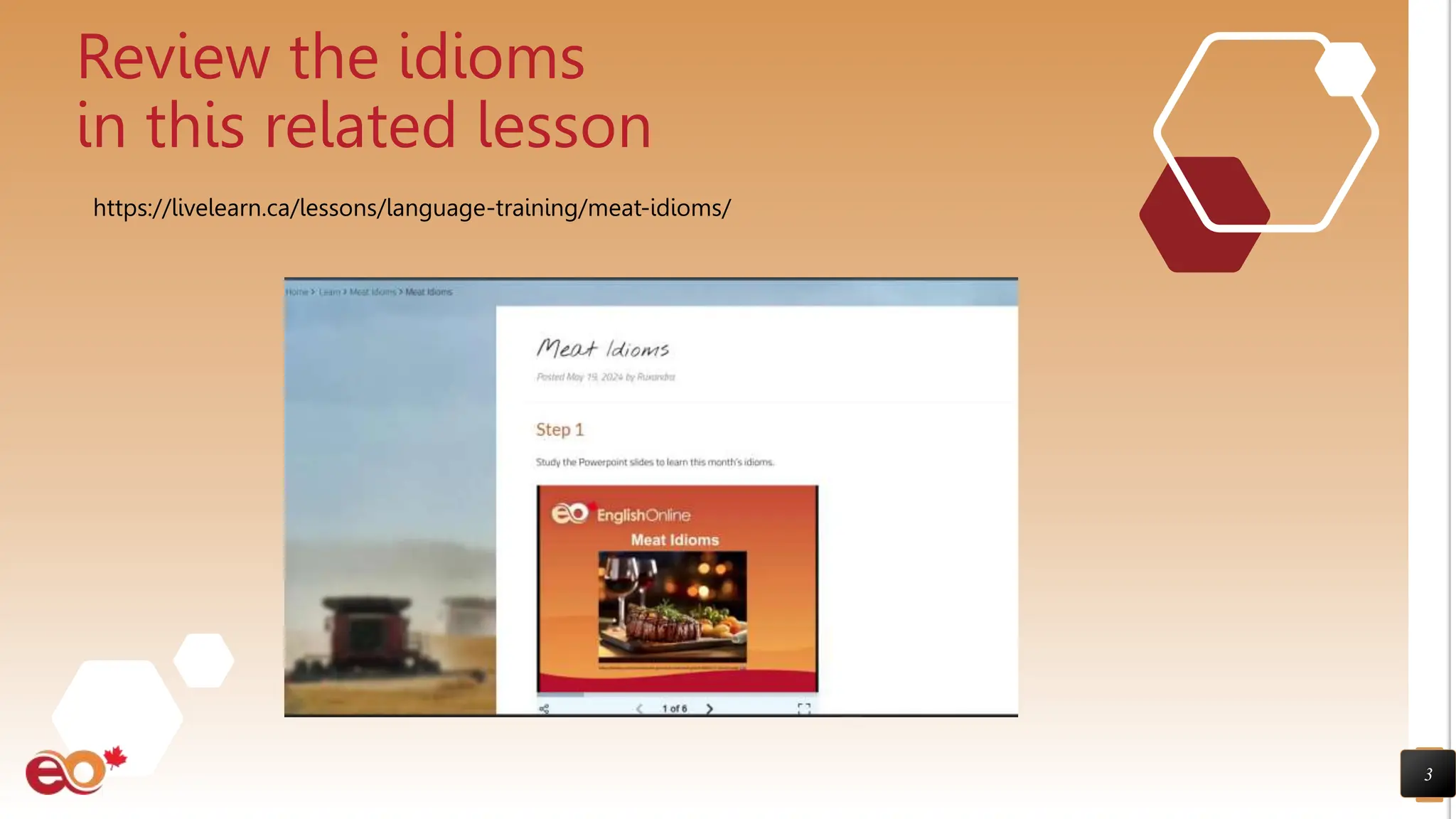 3
Review the idioms
in this related lesson
https://livelearn.ca/lessons/language-training/meat-idioms/
 