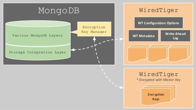 Engineering an Encrypted Storage Engine