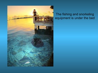 The fishing and snorkeling
equipment is under the bed
 