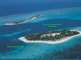 Enter through here
Here is a clearing for the
barbeque.
 