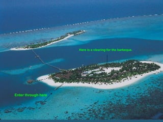 Enter through here Here is a clearing for the barbeque. 