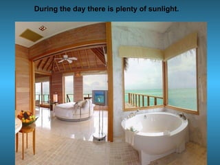 During the day there is plenty of sunlight. 