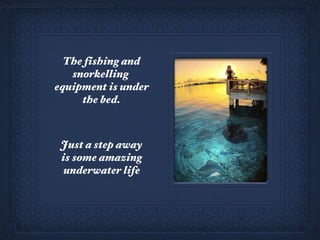 The fishing and snorkelling  equipment is under the bed. Just a step away is some amazing underwater life 