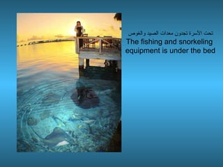 تحت الأسرة تجدون معدات الصيد والغوص The fishing and snorkeling  equipment is under the bed 