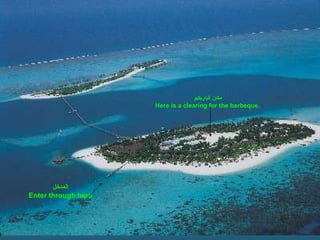 المدخل Enter through here مكان الباربكيو Here is a clearing for the barbeque. 