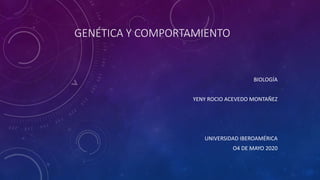 GENÉTICA Y COMPORTAMIENTO
BIOLOGÍA
YENY ROCIO ACEVEDO MONTAÑEZ
UNIVERSIDAD IBEROAMÉRICA
O4 DE MAYO 2020
 