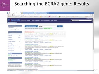 11
Searching the BCRA2 gene: Results
 
