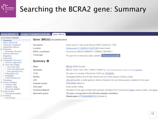 12
Searching the BCRA2 gene: Summary
 