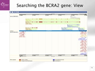 13
Searching the BCRA2 gene: View
 