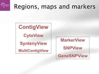 Regions, maps and markers
MarkerView
SNPView
GeneSNPView
ContigView
CytoView
SyntenyView
MultiContigView
 