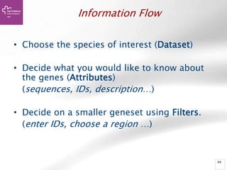 44
Information Flow
• Choose the species of interest (Dataset)
• Decide what you would like to know about
the genes (Attributes)
(sequences, IDs, description…)
• Decide on a smaller geneset using Filters.
(enter IDs, choose a region …)
 