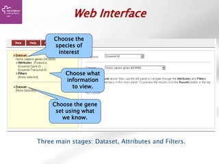 Web Interface
Three main stages: Dataset, Attributes and Filters.
Choose the
species of
interest
Choose what
information
to view.
Choose the gene
set using what
we know.
 