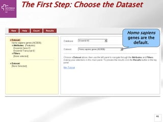 46
The First Step: Choose the Dataset
Homo sapiens
genes are the
default.
 