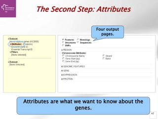 47
The Second Step: Attributes
Attributes are what we want to know about the
genes.
Four output
pages.
 
