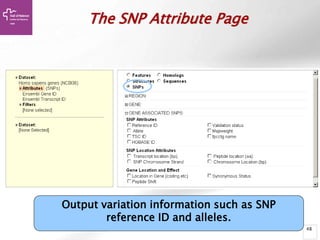 48
The SNP Attribute Page
Output variation information such as SNP
reference ID and alleles.
 