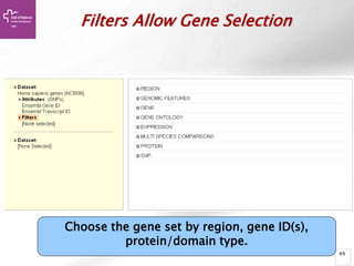 49
Filters Allow Gene Selection
Choose the gene set by region, gene ID(s),
protein/domain type.
 