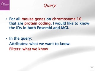 53
Query:
• For all mouse genes on chromosome 10
that are protein coding, I would like to know
the IDs in both Ensembl and MGI.
• In the query:
Attributes: what we want to know.
Filters: what we know
 