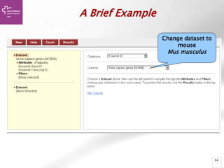 54
A Brief Example
Change dataset to
mouse
Mus musculus
 