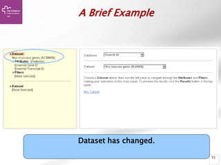 55
A Brief Example
Dataset has changed.
 