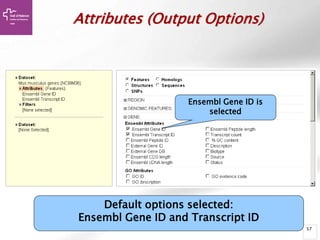 57
Default options selected:
Ensembl Gene ID and Transcript ID
Attributes (Output Options)
Ensembl Gene ID is
selected
 