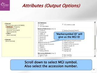 58
Scroll down to select MGI symbol.
Also select the accession number.
Attributes (Output Options)
‘Markersymbol ID’ will
give us the MGI ID
 