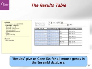 59
‘Results’ give us Gene IDs for all mouse genes in
the Ensembl database.
The Results Table
 