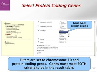 62
Select Protein Coding Genes
Filters are set to chromosome 10 and
protein-coding genes. Genes must meet BOTH
criteria to be in the result table.
Gene type:
protein coding
 