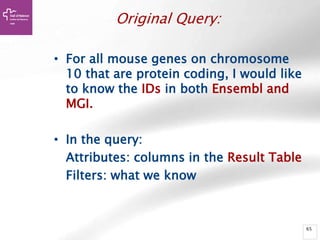 65
Original Query:
• For all mouse genes on chromosome
10 that are protein coding, I would like
to know the IDs in both Ensembl and
MGI.
• In the query:
Attributes: columns in the Result Table
Filters: what we know
 