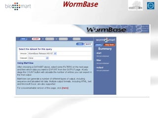 WormBase
 