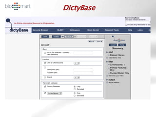 DictyBase
 