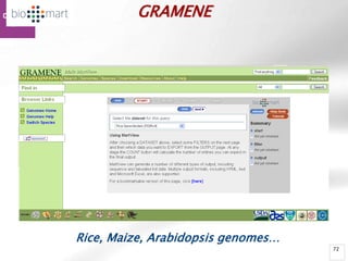 72
GRAMENE
Rice, Maize, Arabidopsis genomes…
 