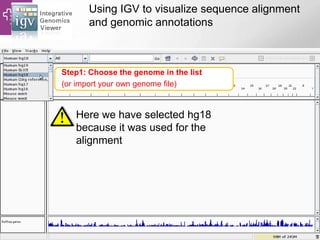 Using IGV to visualize sequence alignment
and genomic annotations
Here we have selected hg18
because it was used for the
alignment
Step1: Choose the genome in the list
(or import your own genome file)
 