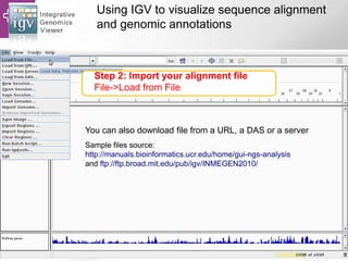 Using IGV to visualize sequence alignment
and genomic annotations
Sample files source:
http://manuals.bioinformatics.ucr.edu/home/gui-ngs-analysis
and ftp://ftp.broad.mit.edu/pub/igv/INMEGEN2010/
Step 2: Import your alignment file
File->Load from File
You can also download file from a URL, a DAS or a server
 