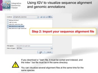 Using IGV to visualize sequence alignment
and genomic annotations
Step 2: Import your sequence alignment file
If you download a *.bam file, it must be sorted and indexed, and
the index *.bai file must be in the same directory
You can visualize several alignment files at the same time for the
same species
 