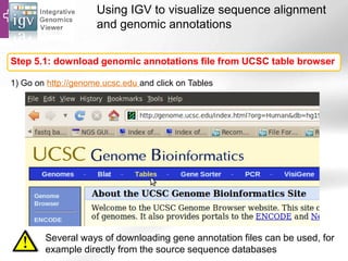 Using IGV to visualize sequence alignment
and genomic annotations
Step 5.1: download genomic annotations file from UCSC table browser
Several ways of downloading gene annotation files can be used, for
example directly from the source sequence databases
1) Go on http://genome.ucsc.edu and click on Tables
 