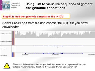 Using IGV to visualize sequence alignment
and genomic annotations
Select File->Load from file and choose the GTF file you have
downloaded
You have know access to RefSeq and Ensembl gene
annotations:
Step 5.2: load the genomic annotation file in IGV
The more data and annotations you load, the more memory you need You can
select a higher memory threshold if you need it when you launch IGV
 