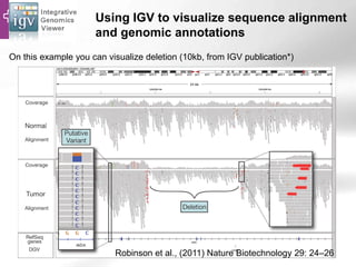 Using IGV to visualize sequence alignment
and genomic annotations
On this example you can visualize deletion (10kb, from IGV publication*)
Robinson et al., (2011) Nature Biotechnology 29: 24–26
 