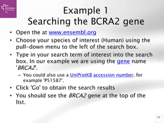 The new Ensembl mobile site showing BRCA2 and detailing available